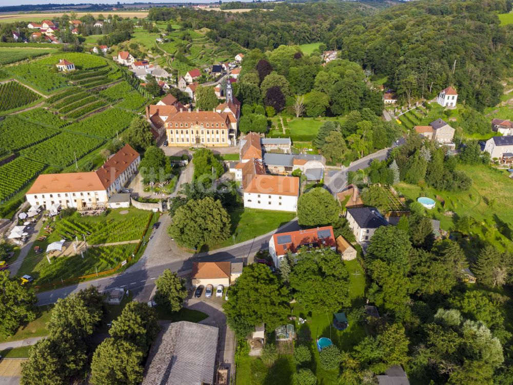 Seusslitz von oben - Burganlage des Schloss Seusslitz in Seusslitz im Bundesland Sachsen, Deutschland