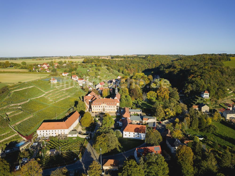 Seusslitz aus der Vogelperspektive: Burganlage des Schloss Seusslitz in Seusslitz im Bundesland Sachsen, Deutschland