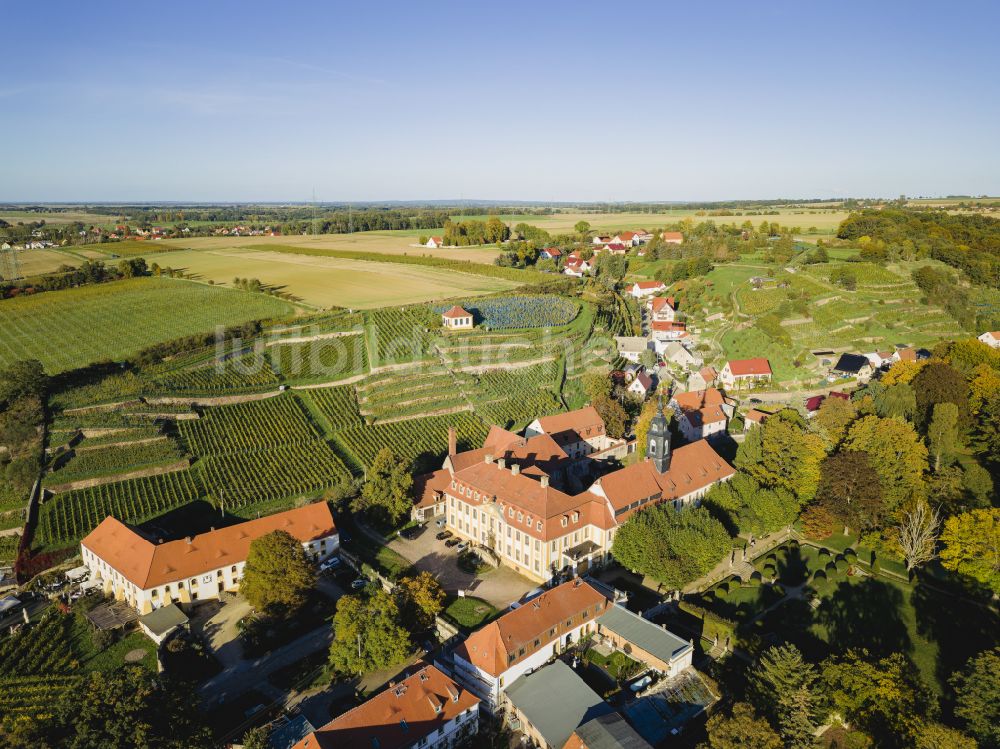 Luftbild Seusslitz - Burganlage des Schloss Seusslitz in Seusslitz im Bundesland Sachsen, Deutschland