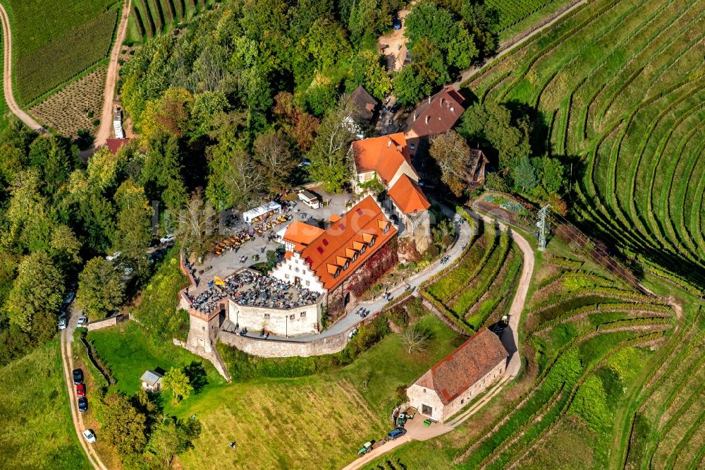 Durbach aus der Vogelperspektive: Burganlage des Schloss Staufenberg in Durbach im Bundesland Baden-Württemberg, Deutschland