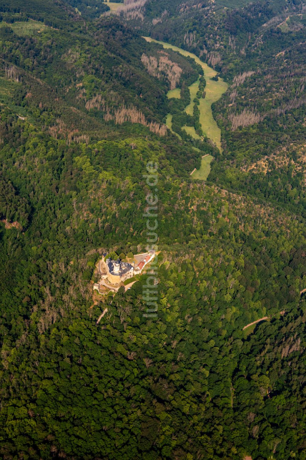 Luftbild Falkenstein/Harz - Burganlage der Veste in Falkenstein/Harz im Bundesland Sachsen-Anhalt, Deutschland