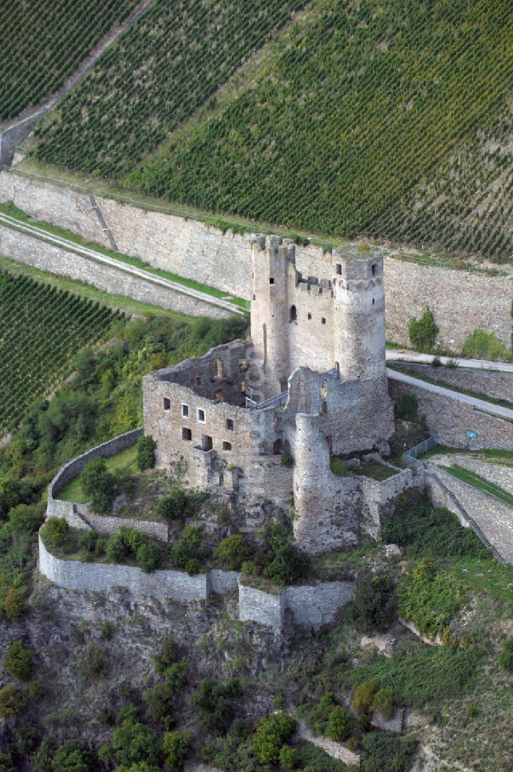 Luftaufnahme Rüdesheim am Rhein - Burgruine Ehrenfels in Rüdesheim am Rhein