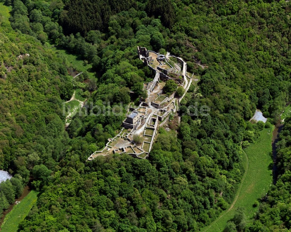 Luftaufnahme Schneppenbach - Burgruine Schmidtburg bei Schneppenbach im Bundesland Rheinland-Pfalz