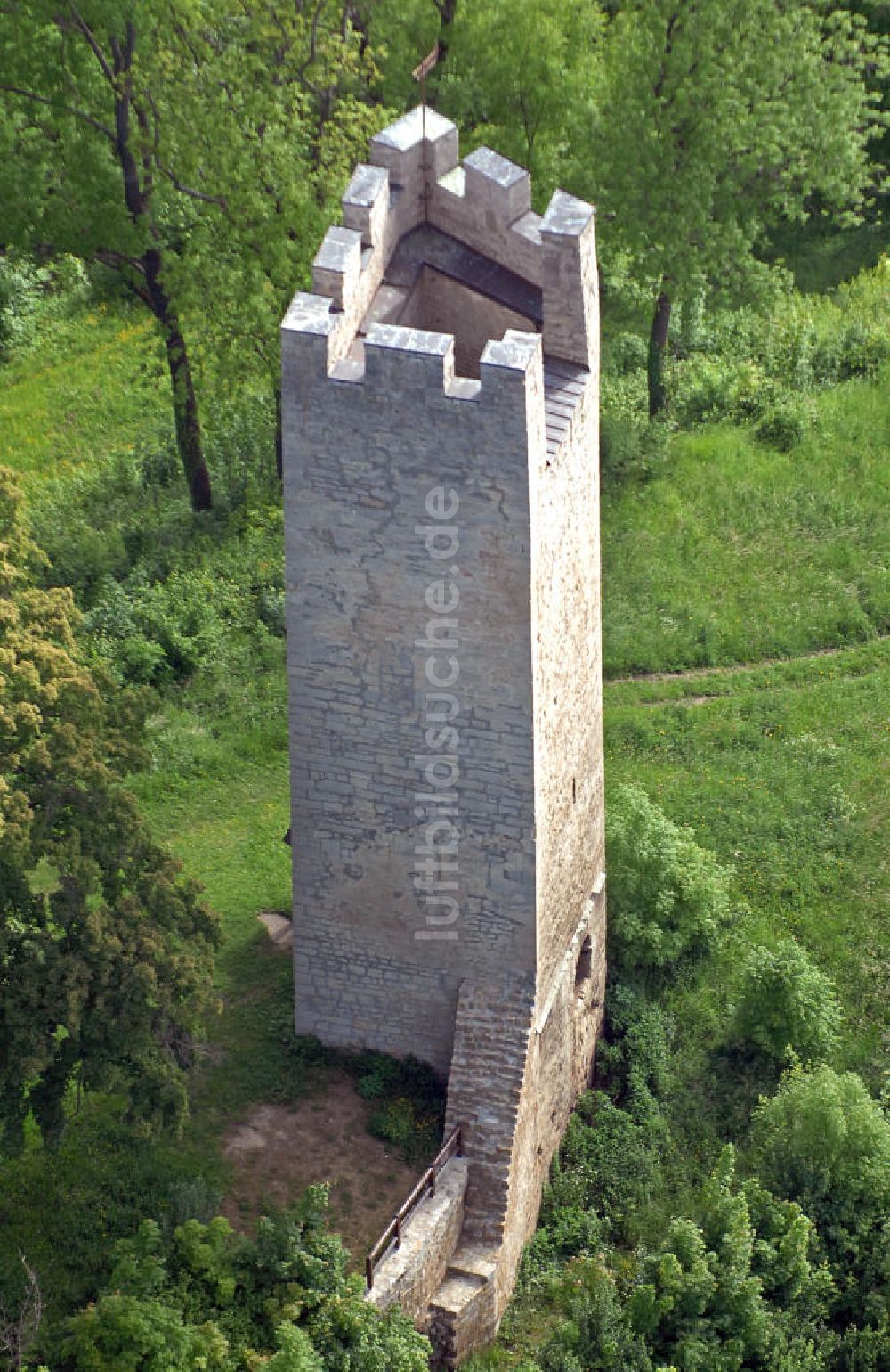 Luftaufnahme Tautenburg - Burgruine Tautenburg