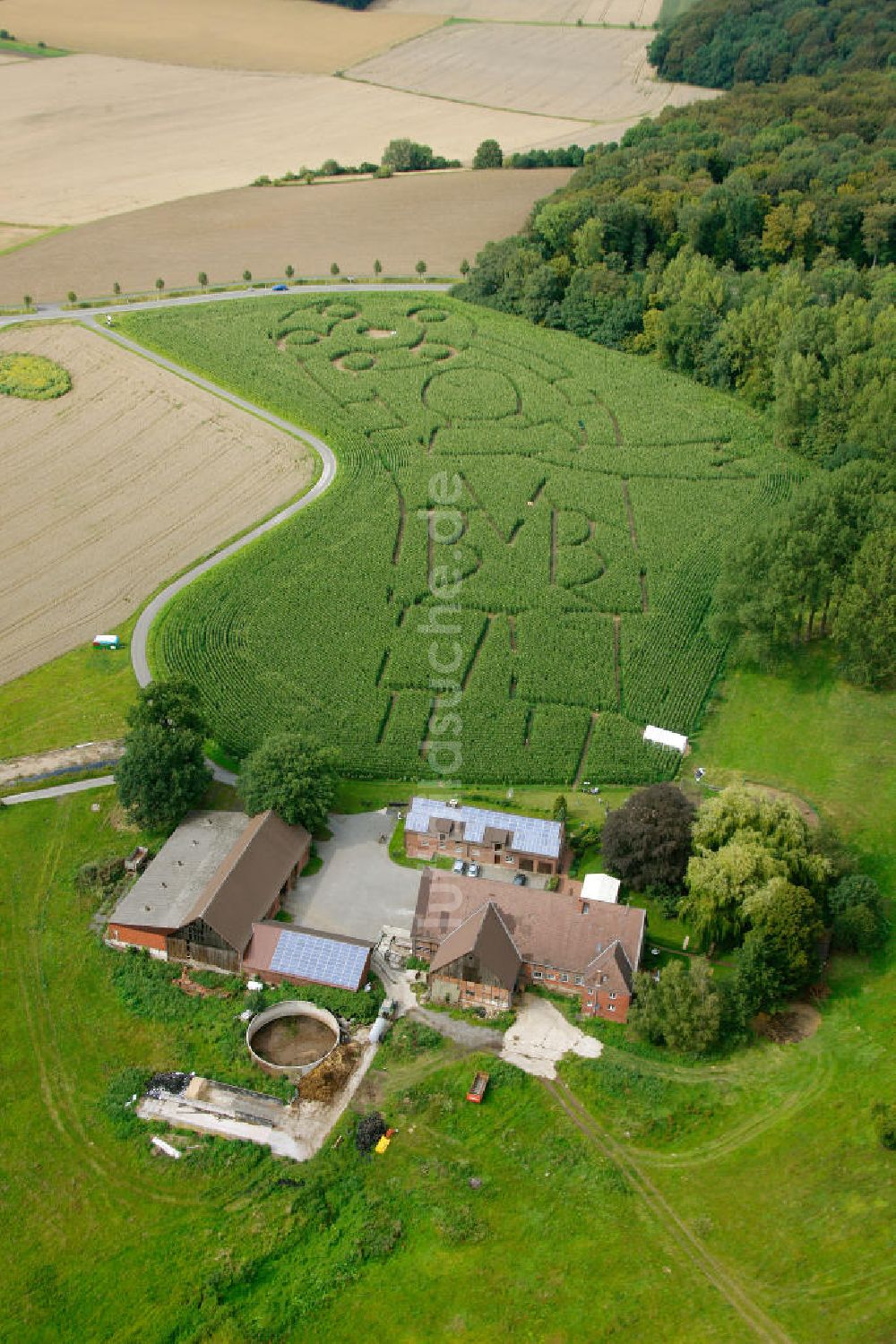 Selm Cappenburg von oben - BVB Maisfeld / Maislabyrinth