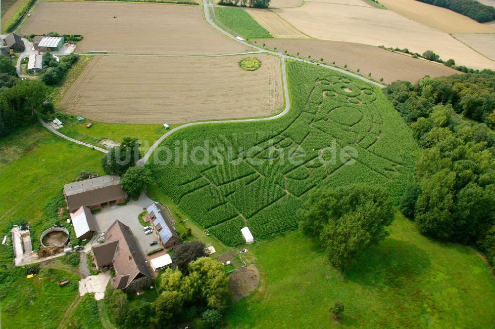 Selm Cappenburg aus der Vogelperspektive: BVB Maisfeld / Maislabyrinth