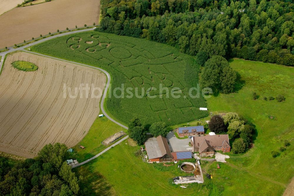 Luftbild Selm Cappenburg - BVB Maisfeld / Maislabyrinth