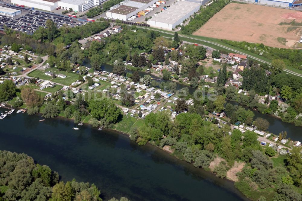 Luftaufnahme Ginsheim-Gustavsburg - Campingplatz Insel Bleiau bei Ginsheim Gustavsburg im Bundesland Hessen