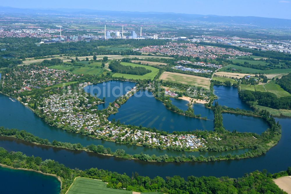 Altrip von oben - Campingplatz am Seeufer Adriaweiher in Altrip im Bundesland Rheinland-Pfalz, Deutschland