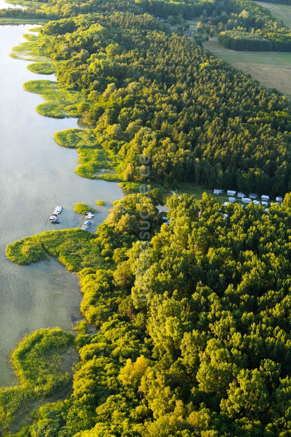 Boeck aus der Vogelperspektive: Campingplatz mit Wohnwagen und Zelten in Boeck im Bundesland Mecklenburg-Vorpommern, Deutschland