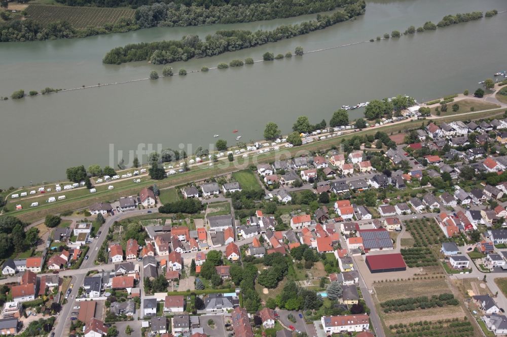 Heidesheim am Rhein von oben - Campingplatz mit Wohnwagen und Zelten in Heidesheim am Rhein im Bundesland Rheinland-Pfalz