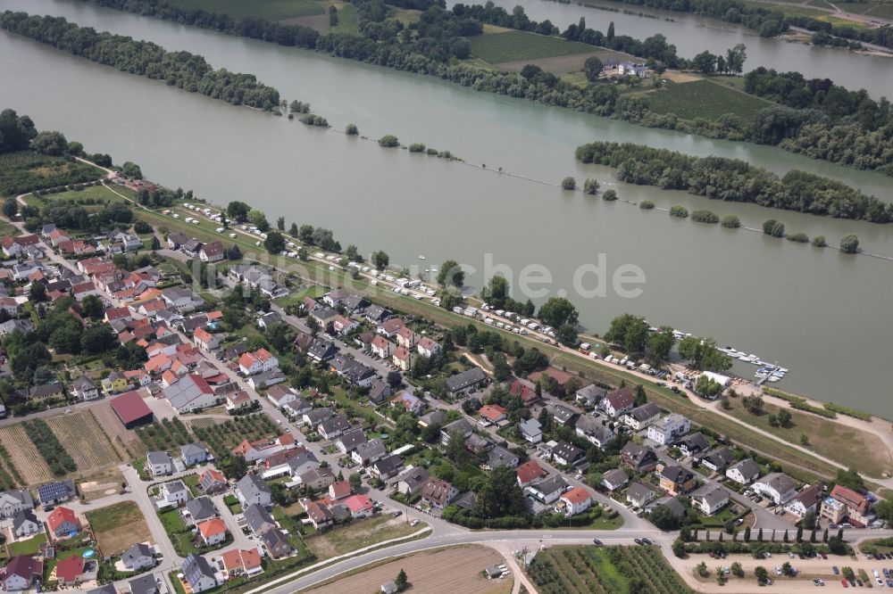 Heidesheim am Rhein aus der Vogelperspektive: Campingplatz mit Wohnwagen und Zelten in Heidesheim am Rhein im Bundesland Rheinland-Pfalz