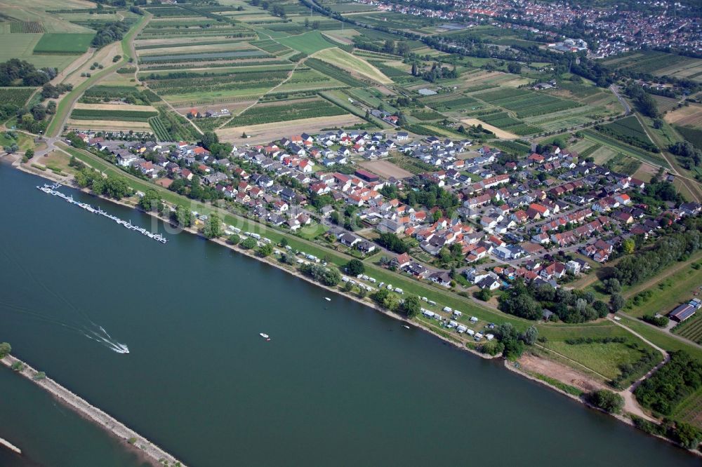 Heidesheim am Rhein von oben - Campingplatz mit Wohnwagen und Zelten in Heidesheim am Rhein im Bundesland Rheinland-Pfalz