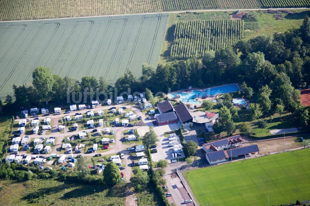 Luftbild Billigheim-Ingenheim - Campingplatz mit Wohnwagen und Zelten im Ortsteil Ingenheim in Billigheim-Ingenheim im Bundesland Rheinland-Pfalz