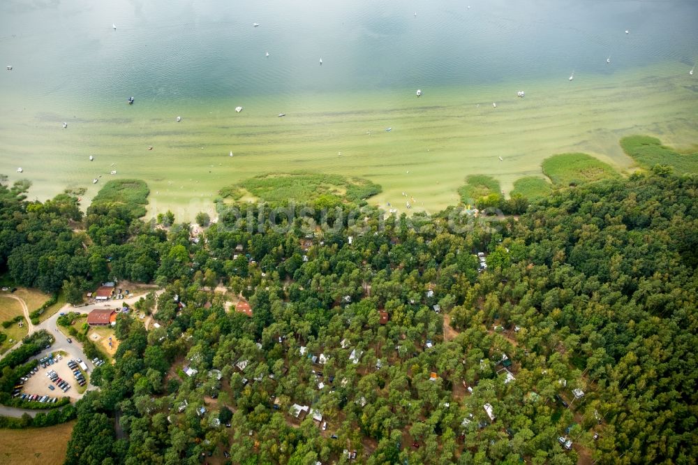 Luftbild Rechlin - Campingplatz mit Wohnwagen und Zelten am See Müritz in Rechlin im Bundesland Mecklenburg-Vorpommern