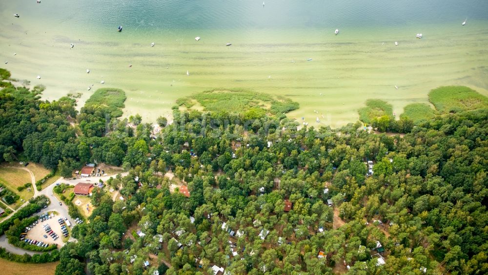 Luftaufnahme Rechlin - Campingplatz mit Wohnwagen und Zelten am See Müritz in Rechlin im Bundesland Mecklenburg-Vorpommern