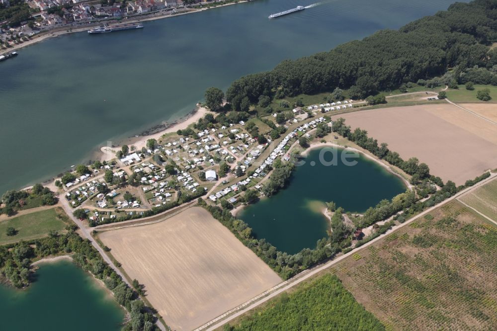 Trebur aus der Vogelperspektive: Campingplatz mit Wohnwagen und Zelten in Trebur Kornsand im Bundesland Hessen