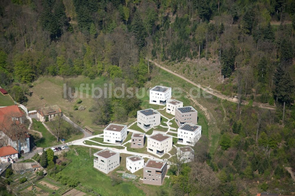 Freiburg im Breisgau aus der Vogelperspektive: Campus- Gebäude der Fachhochschule UWC Robert Bosch College (Privatschule) in Freiburg im Breisgau im Bundesland Baden-Württemberg, Deutschland