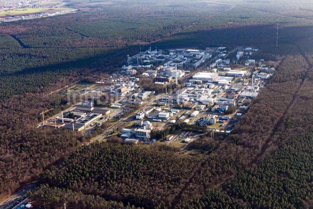 Luftbild Eggenstein-Leopoldshafen - Campus- Gebäude der Universität KIT Karlsruher Institut für Technologie in Eggenstein-Leopoldshafen im Bundesland Baden-Württemberg, Deutschland