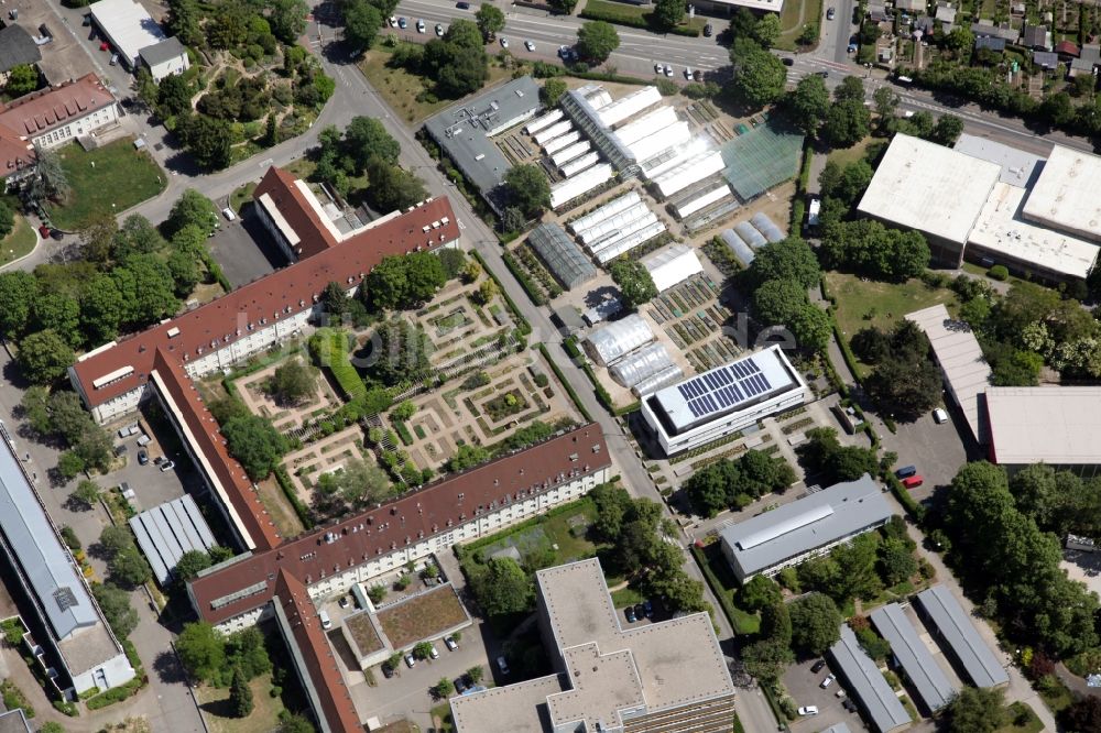 Luftbild Mainz - Campus - Gelände der Johannes Gutenberg Universität in Mainz im Bundesland 