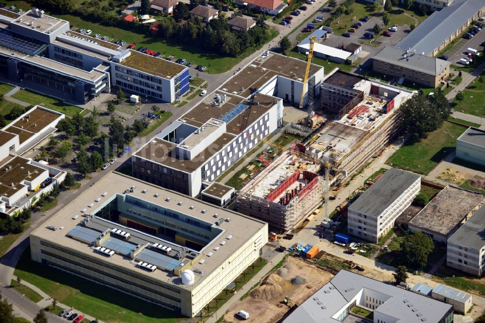 Potsdam von oben - Campus Golm der Universität Potsdam im Bundesland Brandenburg