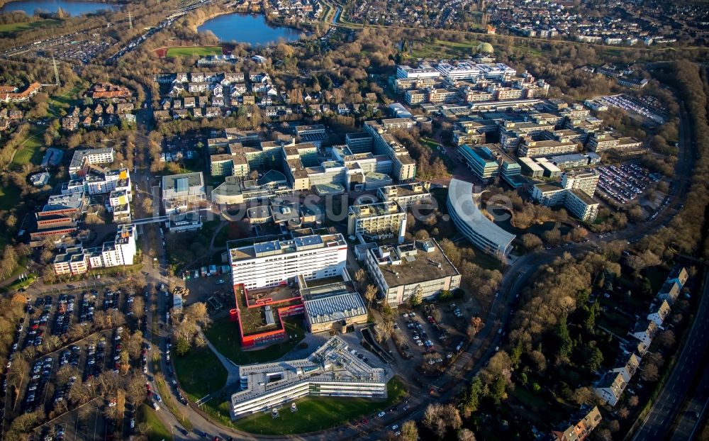 Luftaufnahme Düsseldorf - Campus- Universitäts- Bereich Exzellenzcluster CEPLAS in Düsseldorf im Bundesland Nordrhein-Westfalen, Deutschland