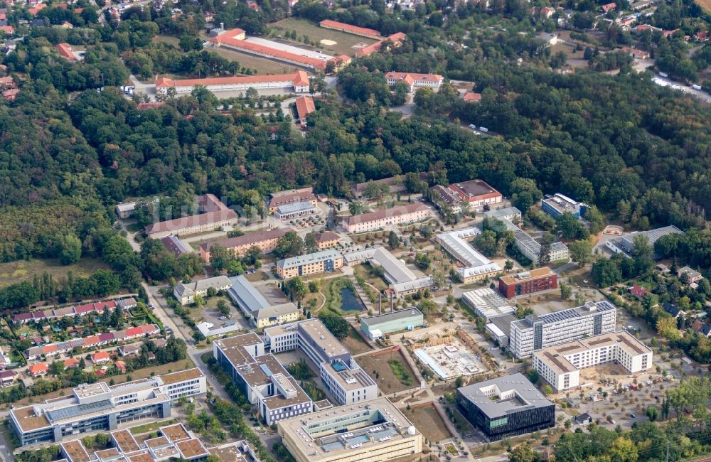 Luftbild Potsdam - Campus- Universitäts- Bereich mit Neubau- Baustelle auf dem Gelände der Universität Potsdam im Ortsteil Golm in Potsdam im Bundesland Brandenburg, Deutschland