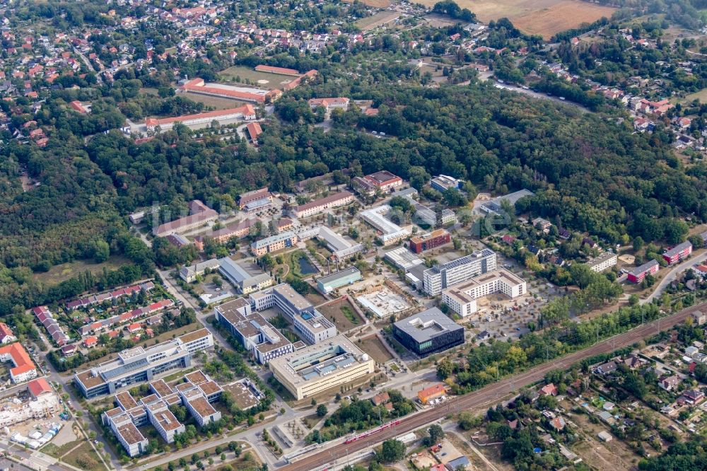 Luftaufnahme Potsdam - Campus- Universitäts- Bereich mit Neubau- Baustelle auf dem Gelände der Universität Potsdam im Ortsteil Golm in Potsdam im Bundesland Brandenburg, Deutschland