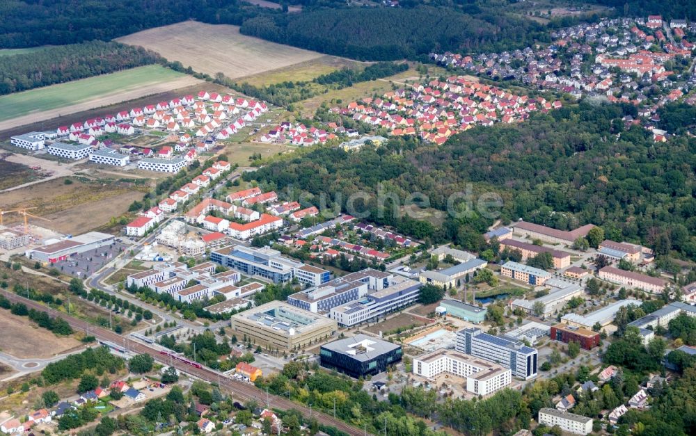 Potsdam aus der Vogelperspektive: Campus- Universitäts- Bereich mit Neubau- Baustelle auf dem Gelände der Universität Potsdam im Ortsteil Golm in Potsdam im Bundesland Brandenburg, Deutschland