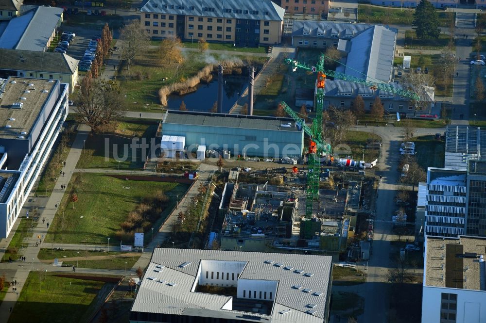 Potsdam von oben - Campus- Universitäts- Bereich mit Neubau- Baustelle auf dem Gelände der Universität Potsdam im Ortsteil Golm in Potsdam im Bundesland Brandenburg, Deutschland