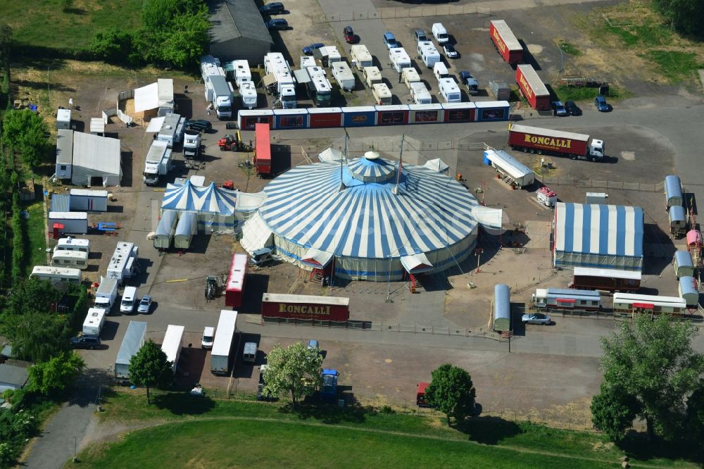 Luftbild Magdeburg - Circus- Zelt- Kuppeln des Zirkus Roncalli auf dem Messeplatz in Magdeburg im Bundesland Sachsen-Anhalt