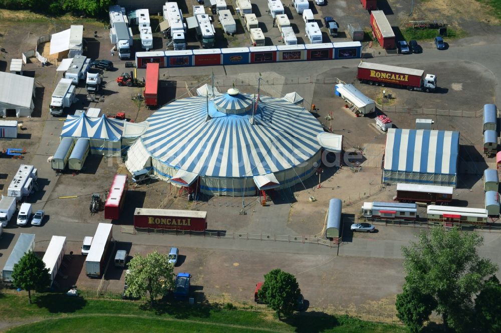 Luftaufnahme Magdeburg - Circus- Zelt- Kuppeln des Zirkus Roncalli auf dem Messeplatz in Magdeburg im Bundesland Sachsen-Anhalt