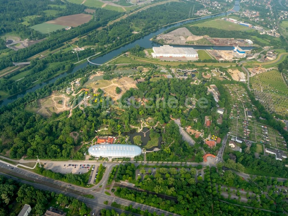 Luftaufnahme Gelsenkirchen - Consol Park auf dem Gelände der ehemalige Zeche Consolidation in Gelsenkirchen im Bundesland Nordrhein-Westfalen