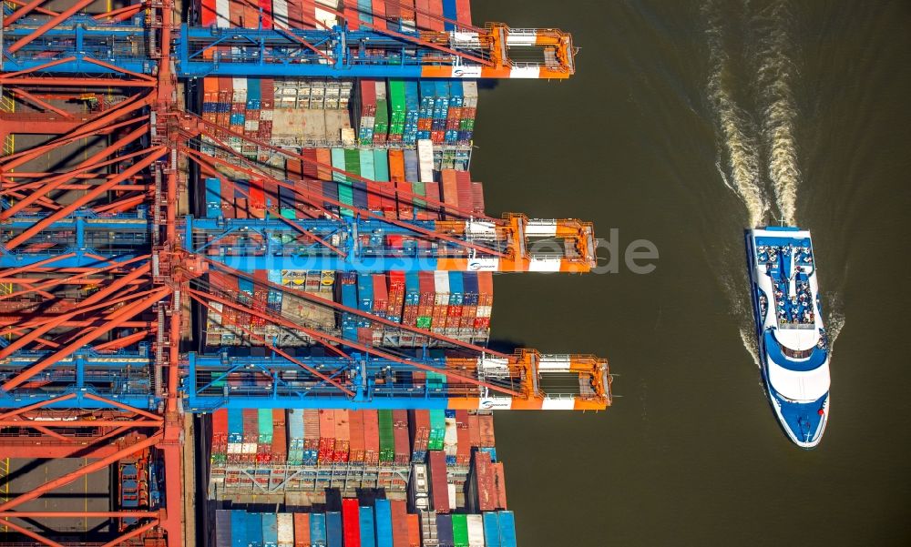 Hamburg von oben - Container- Terminal am ehemaligen Freihafen in Hamburg