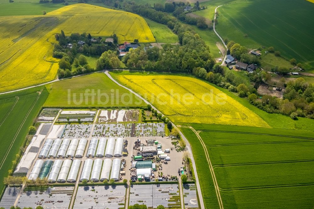 Heiligenhaus aus der Vogelperspektive: Containerbaumschule & Staudengärtnerei in Heiligenhaus im Bundesland Nordrhein-Westfalen, Deutschland