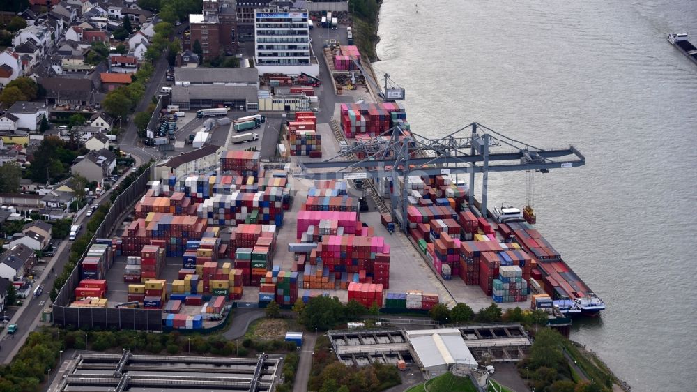 Bonn von oben - Containerterminal im Containerhafen des Binnenhafen des Rheins im Ortsteil Graurheindorf in Bonn im Bundesland Nordrhein-Westfalen, Deutschland