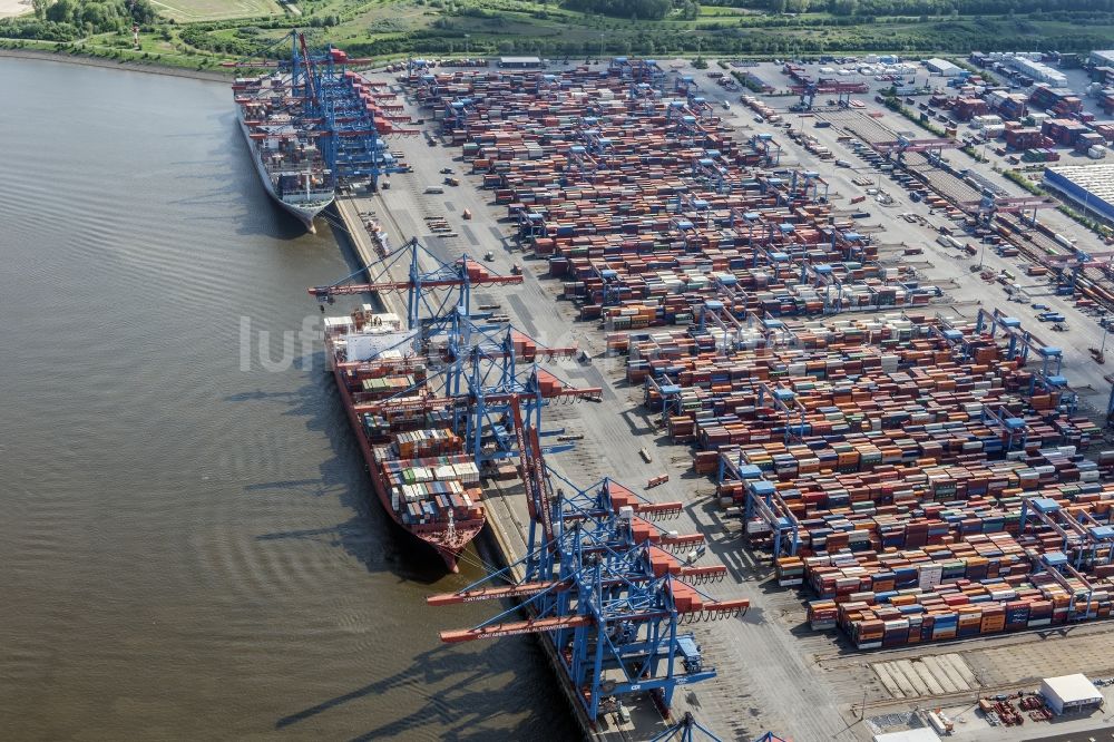 Hamburg aus der Vogelperspektive: Containerterminal HHLA Container Terminal Altenwerder (CTA) am Ufer der Elbe im Stadtteil Altenwerder in Hamburg