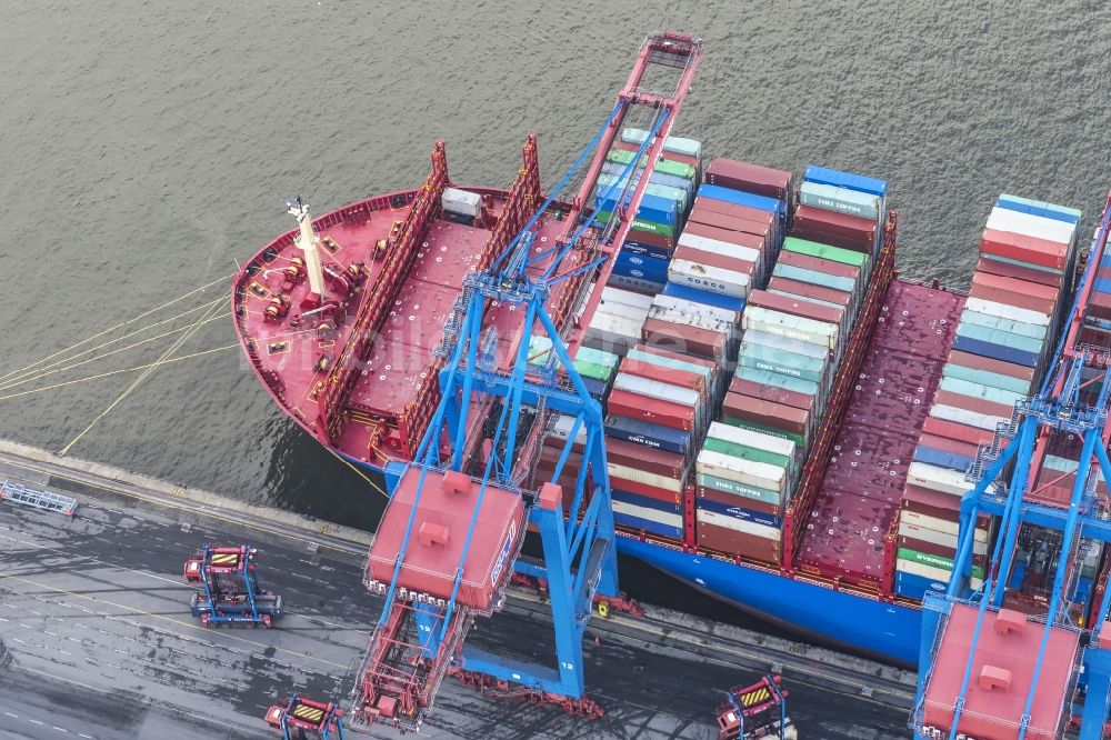 Hamburg von oben - Containerterminal Tollerort im Containerhafen des Überseehafen im Stadtteil Steinwerder in Hamburg mit dem Klärwerk Köhlbrandhöft