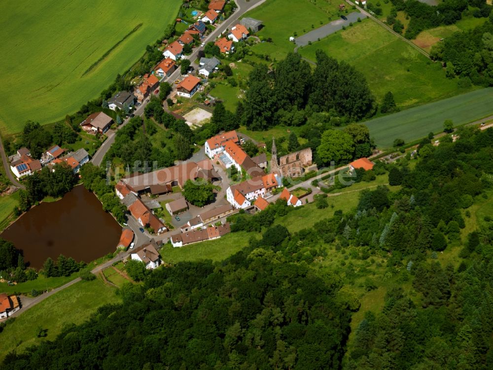 Luftbild Kerzenheim - Das Kloster Rosenthal bei Kerzenheim im Bundesland Rheinland-Pfalz