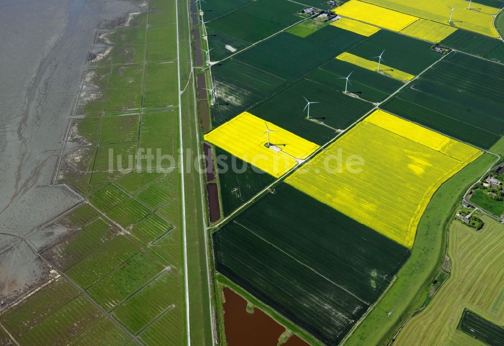 Niebüll von oben - Das Marschland an der Nordsee-Küste bei Niebüll im Kreis Nordfriesland im Bundesland Schleswig-Holstein