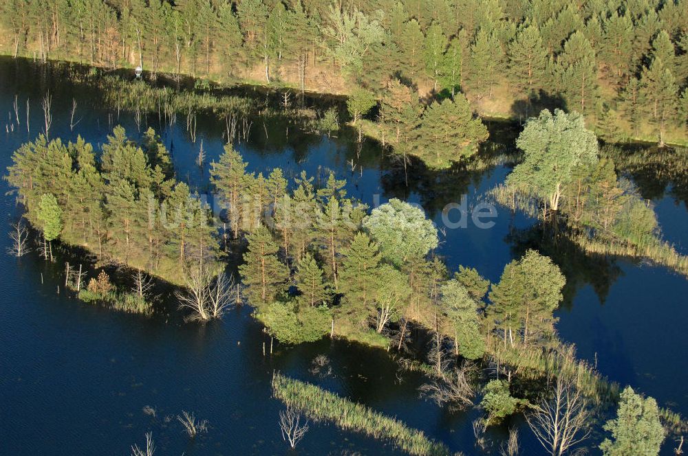 Burgwall von oben - Das Naturschutzgebiet Tonstichlandschaft bei Burgwall