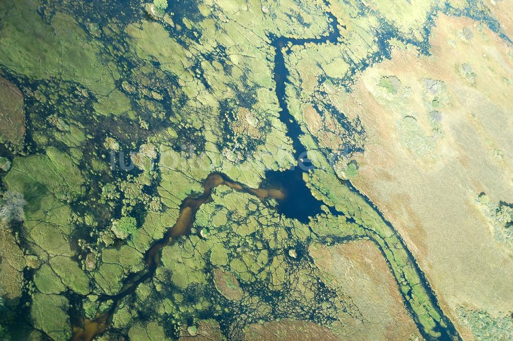 Okavango Delta aus der Vogelperspektive: Das Okavango Delta - The Okavango Delta