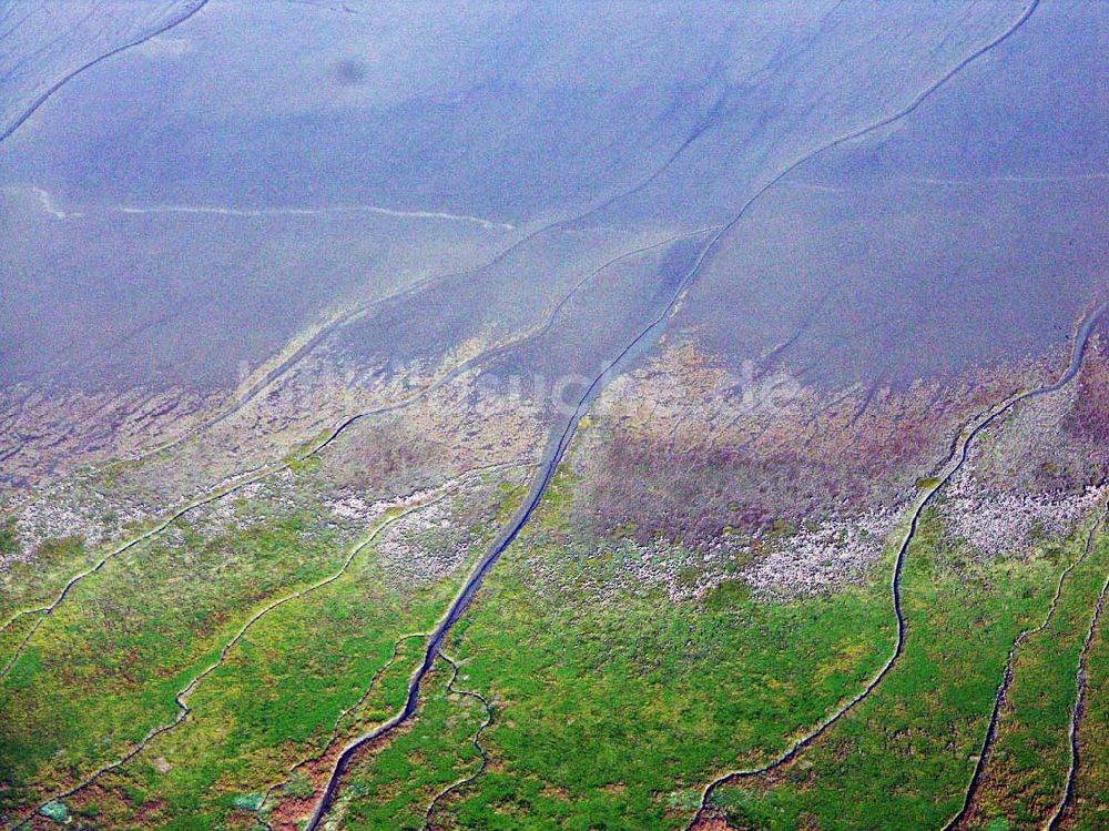 Luftbild Jade-Schweiburg - Das Wattenmeer bei Jade-Schweiburg