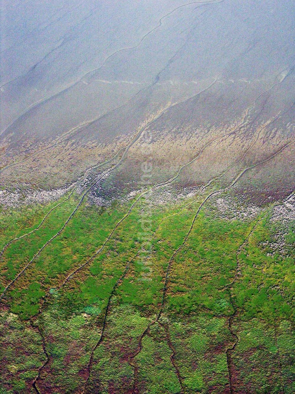 Jade-Schweiburg aus der Vogelperspektive: Das Wattenmeer bei Jade-Schweiburg