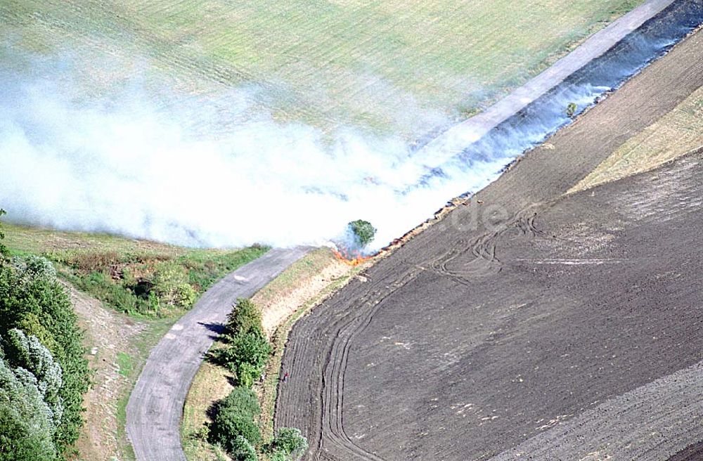 Luftbild Deetz / Brandenburg - Deetz / Brandenburg Blick auf ein Getreidefeldbrand in Deetz / Brandenburg 06.09.2003