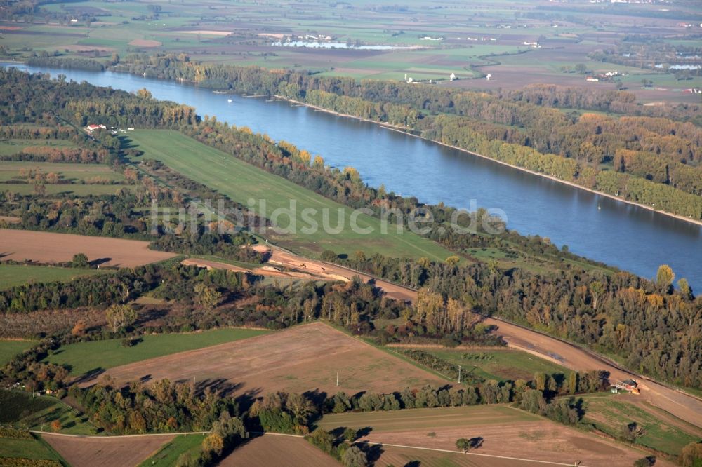 Dienheim aus der Vogelperspektive: Deich- Ausbau bei Dienheim im Bundesland Rheinland-Pfalz