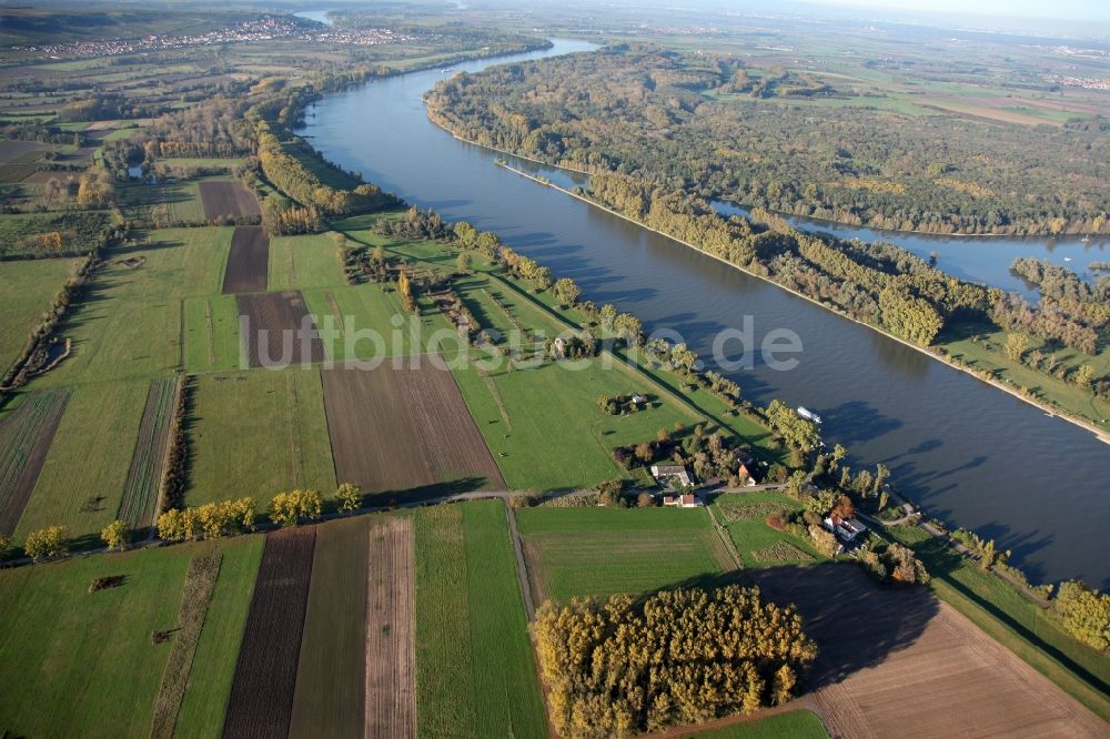 Luftaufnahme Dienheim - Deich- Ausbau bei Dienheim im Bundesland Rheinland-Pfalz