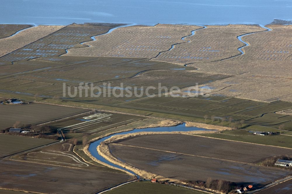 Friedrichskoog von oben - Deichlandschaft Friedrichskoog im Bundesland Schleswig-Holstein