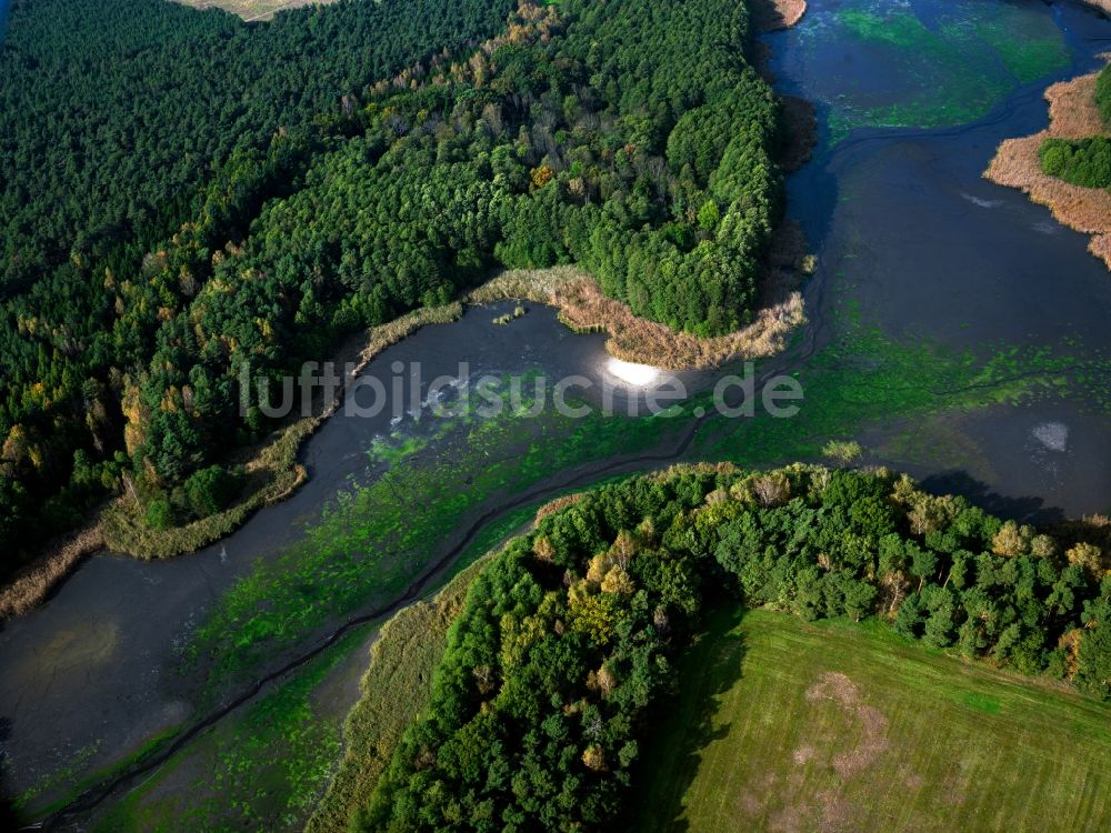 Lieberose aus der Vogelperspektive: Der Dammer Teich in Lieberose im Bundesland Brandenburg