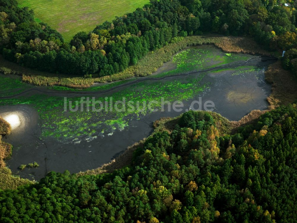 Luftaufnahme Lieberose - Der Dammer Teich in Lieberose im Bundesland Brandenburg